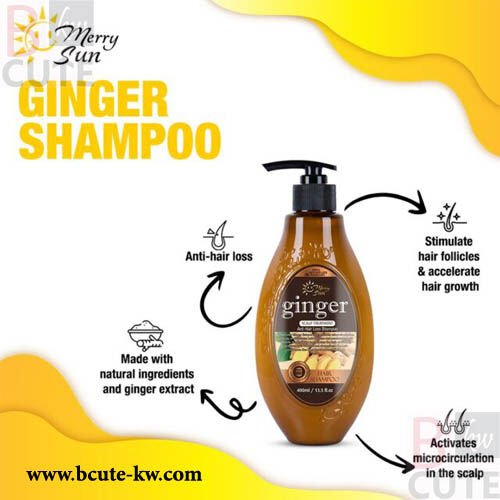 MerrySun Ginger Anti-hair Shampoo 400 ml