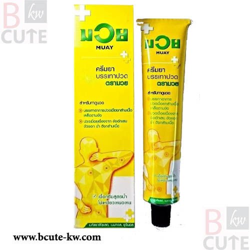 Namman Muay Thai Analgesic Cream Pain Relief 100g