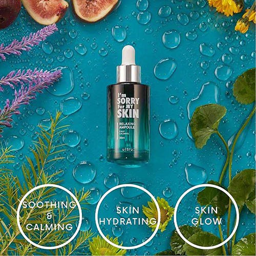 44967990-a544-40ef-9609-961c69251cc8-1000x1000-t1cyPkw5Cirmiz2SFvan6KXMqqifLeC4YeKNBv70