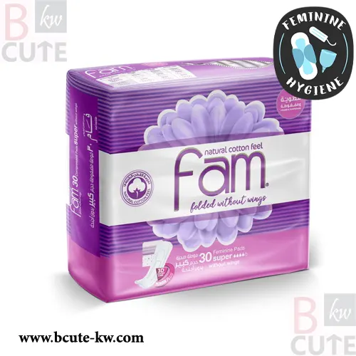 Fam Super Folded Unscented – 30 Pads Fam Super Folded Unscented – 30 Pads